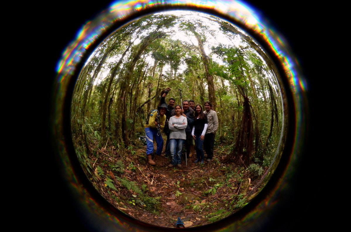 Some areas have been monitored over a period of 40-50 years in the Andes, Western Plains and the Guiana Shield. This is an invaluable amount of ecological information that serves as an input for understanding about the carbon and the diversity of these areas