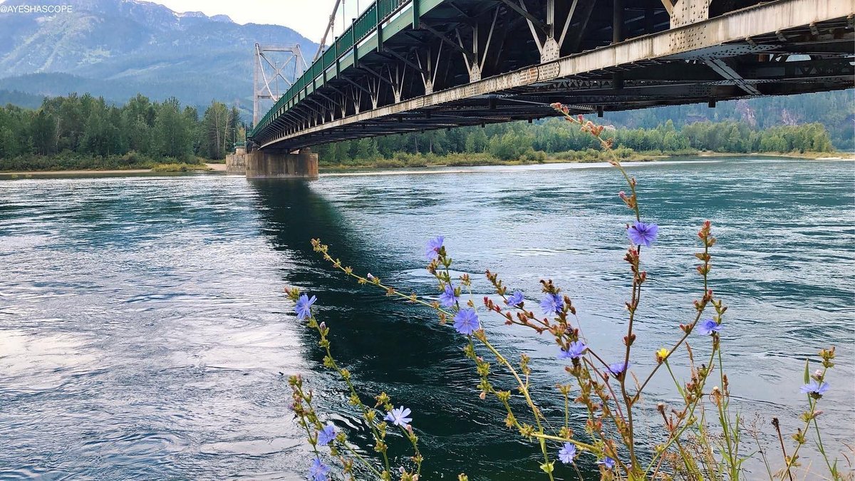 Winter is pretty much water under the bridge!⁠
⁠
📸 @ayeshascope⁠
#TheRealStoke #Revelstoke #ExploreBCLater