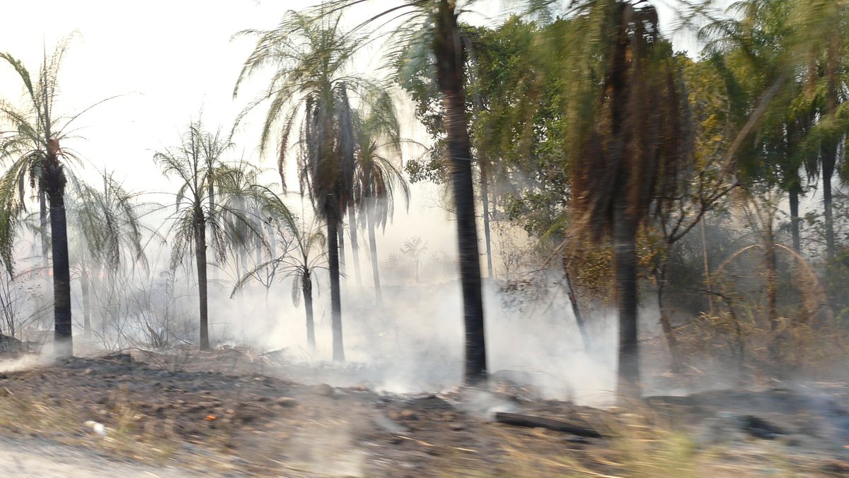 Deforestation and degradation are forces of ecological disruption that are threatening the stability of some of these ecosystems also posing a severe risk of maintaining some of these sites as functioning research sites.  https://news.mongabay.com/2018/05/crisis-in-venezuela-caparo-experimental-station-invaded-by-200-farmers/