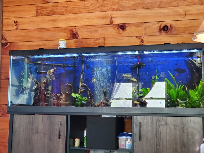 Anyone done any crafts or project during your quarantined time. Post them here and retweet. Maybe give<a href="/tag/georgia"class="tags"><span>#georgia</span></a><a href="/tag/retweeetplease"class="tags"><span>#retweeetplease</span></a><a href="/tag/carolinas"class="tags"><span>#carolinas</span></a><a href="/tag/retwett"class="tags"><span>#retwett</span></a><a href="/tag/covid"class="tags"><span>#covid</span></a>
