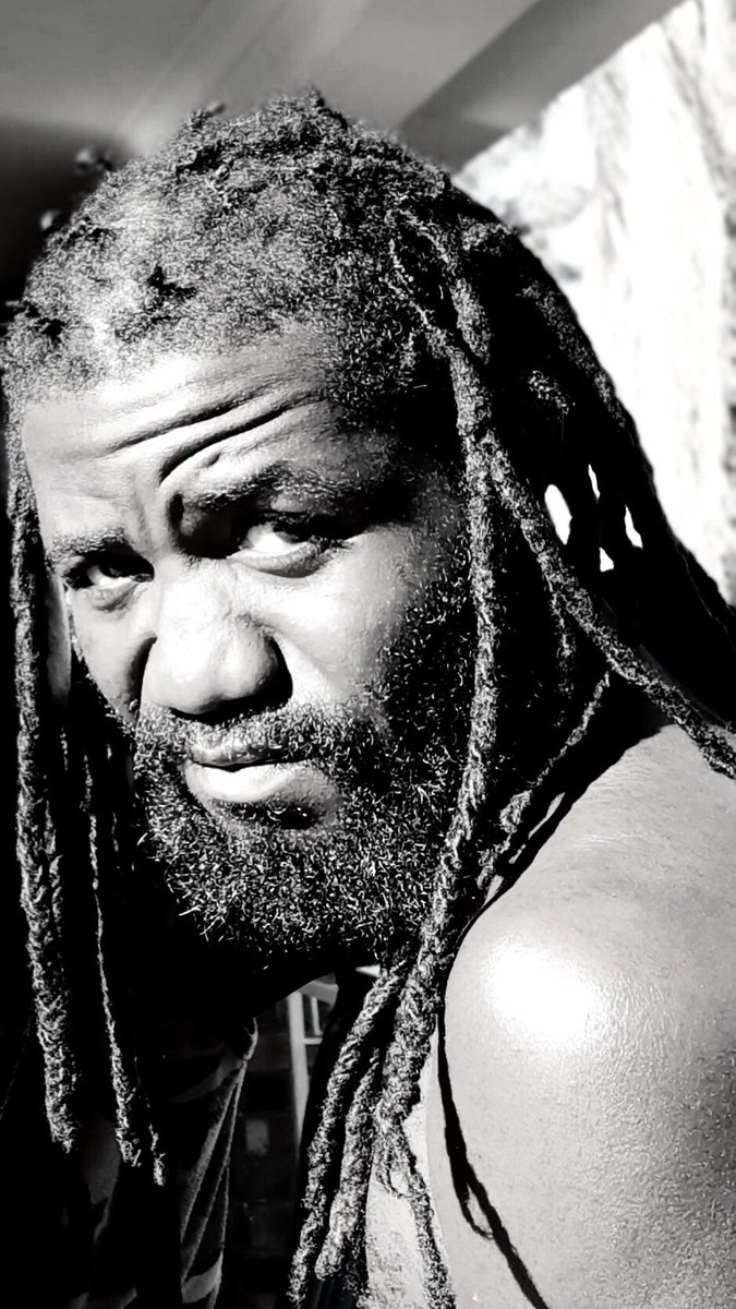 Donzilla lion (@donzillalion) on Twitter photo 