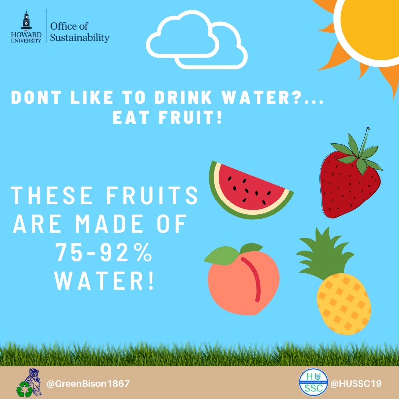 GreenBison1867's tweet photo. Water is nature's giver of life and vitality🌿🌍. Let's retun the favor by staying hydrated the Sustainable way this Thirsty Thursday 💦🥵 https://t.co/mjhSQVDMuP
