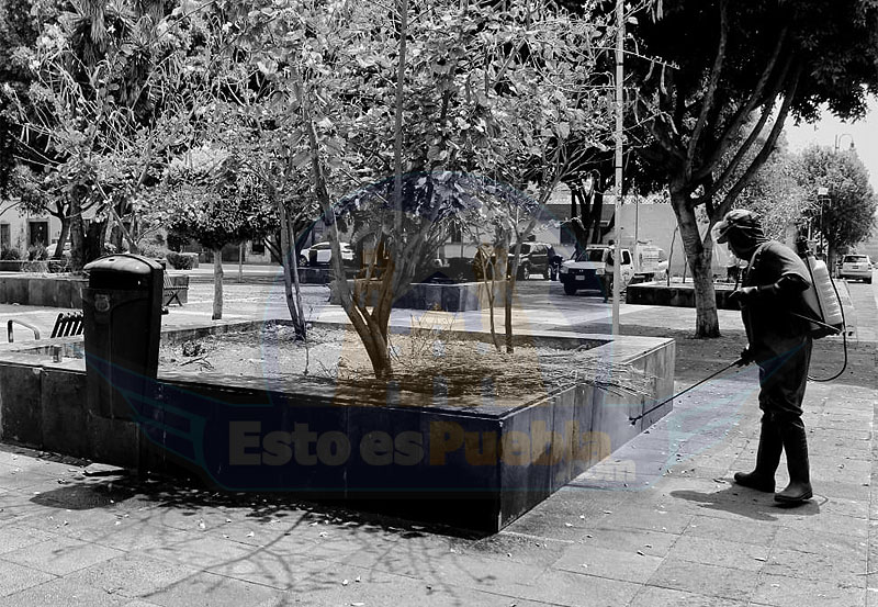 estoespuebla's tweet photo. Cuadrillas de desinfección por parte de @LimpiaPuebla trabajan en el Parque del Carmen y lugares abiertos para la limpieza adecuada de superficies y estructuras 

#QuedateEnCasa 🏘️⚠️ / @RandolphKraker @Alejandr0_Bravo https://t.co/9d2bANdVb5