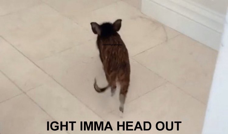 spacefornasa's tweet photo. @ArianaGrande https://t.co/xN6Jt4lCnD