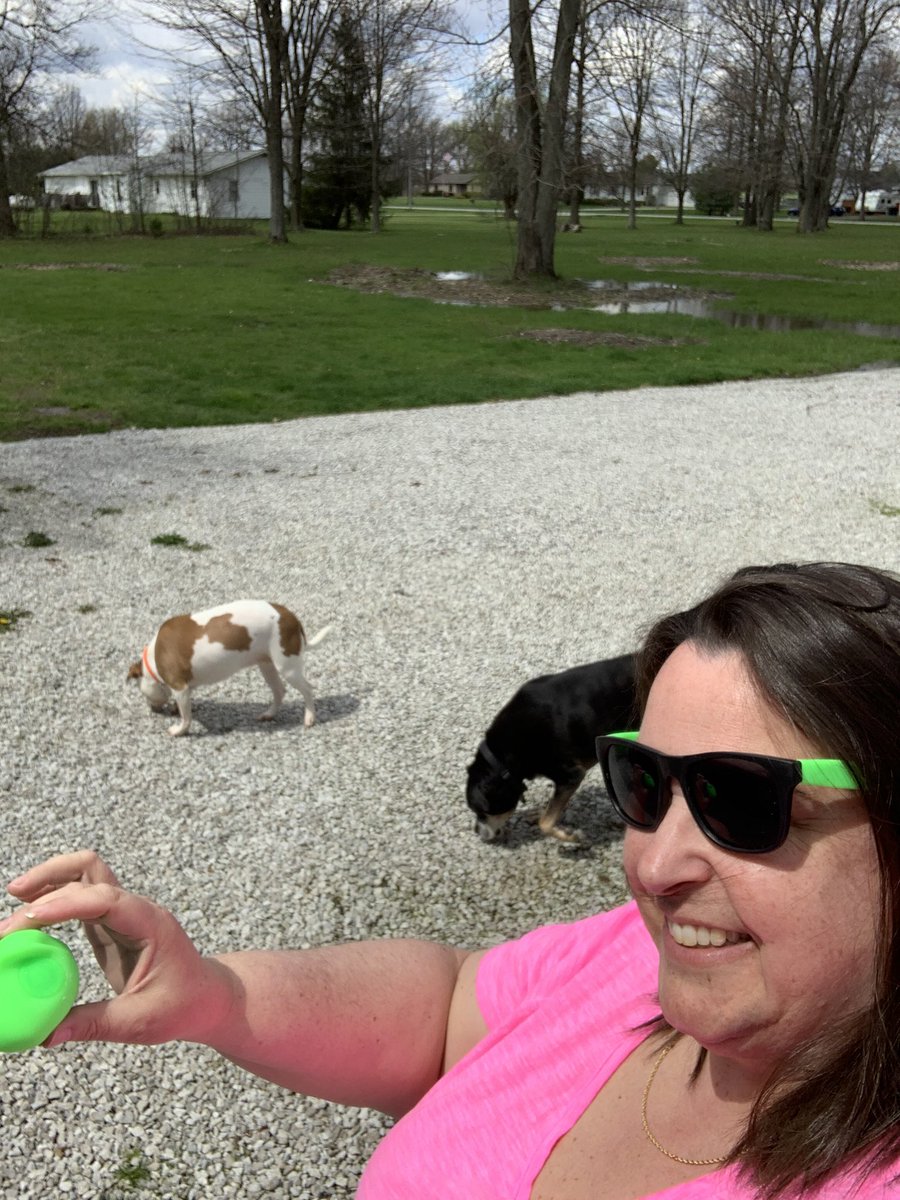 NiswanderNugget's tweet photo. Trying to get the dogs interested in playing catch. #bexshinesbright The neon must have been to bright. https://t.co/0bcp7iAjRB