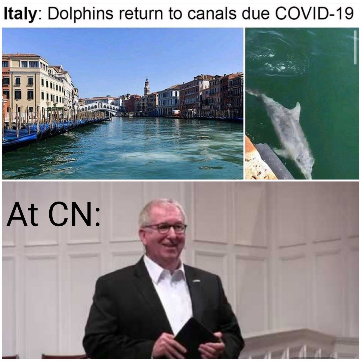 MemesNewman's tweet photo. https://t.co/mZzHZVtkz7