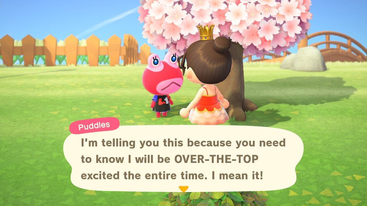 look_itsafish's tweet photo. Puddles was determined to share that she joined the Wild Ones @jasonsulli #AnimalCrossing #ACNH #NintendoSwitch https://t.co/UGiQrRLIxl