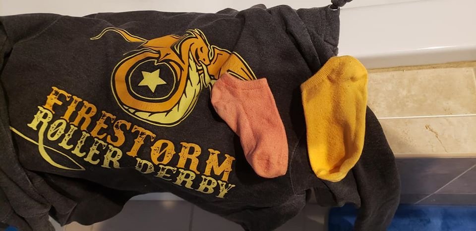 FireStormDerby's tweet photo. Scavenger Hunt Item #6: Orange Socks https://t.co/SRZCbGQ17Z