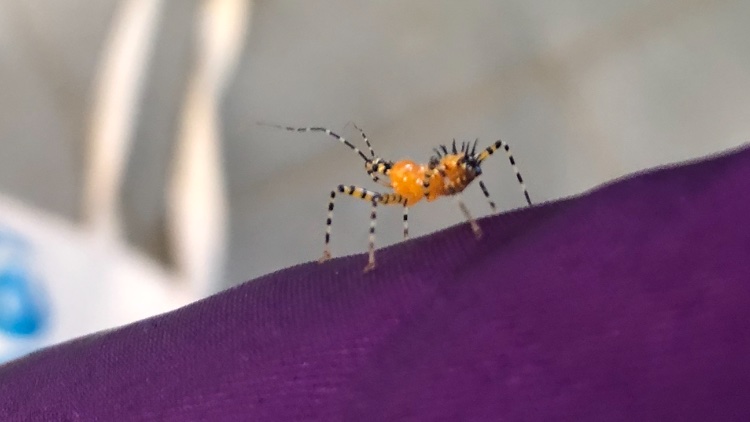 jlt1616's tweet image. body goals