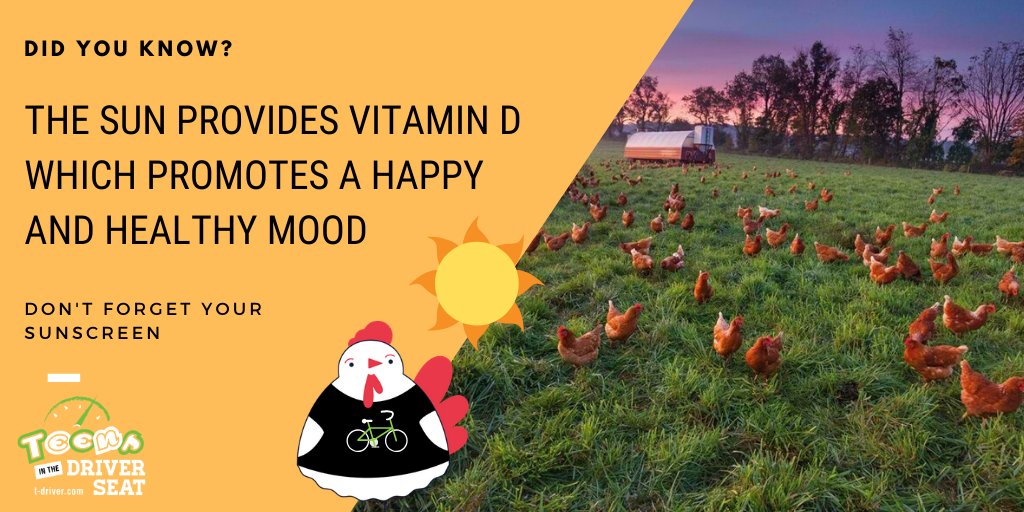 A10: I enjoy walking because it gets me out of the coop during these Stay At Home orders and helps me get some Vitamin D. Vitamin D promotes a happy mood, so get out of the house and follow rules of the road.#CallingAllRoadUsers #ThankfulThursday #socialdistancing  #outdoors
