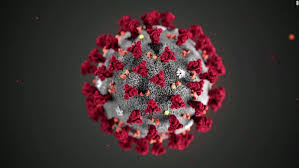 DavidAgus's tweet photo. All, I am going to start a weekly #Coronavirus: fact and fictions" @Facebook Live every Friday 11am pacific time (2 pm eastern). The first one is tomorrow. You are welcome to start leaving questions here on Twitter, or see you live tomorrow. Excited for the conversation! https://t.co/0iMR0ZVPAj