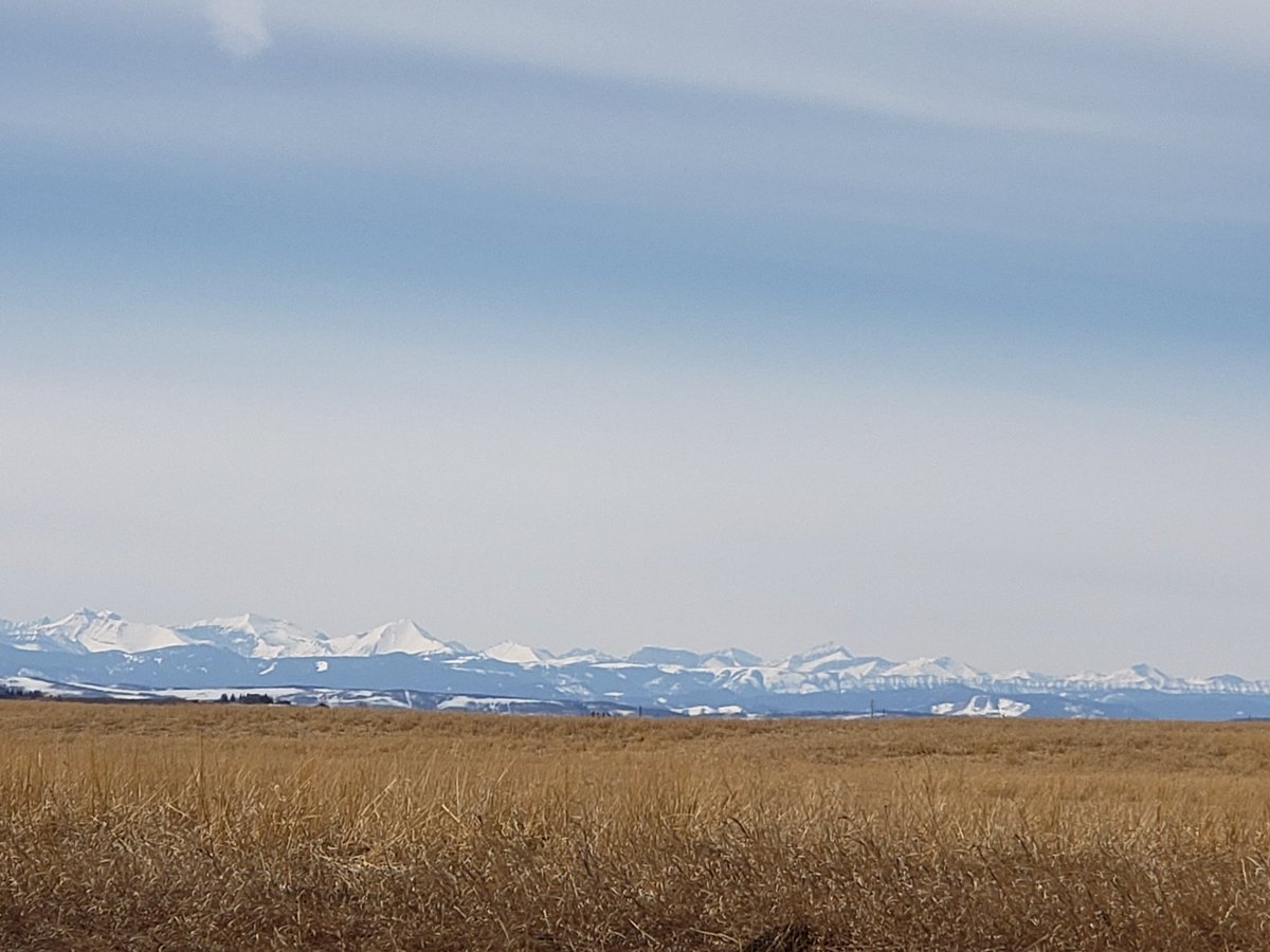 View during my run last night. I love my backyard.