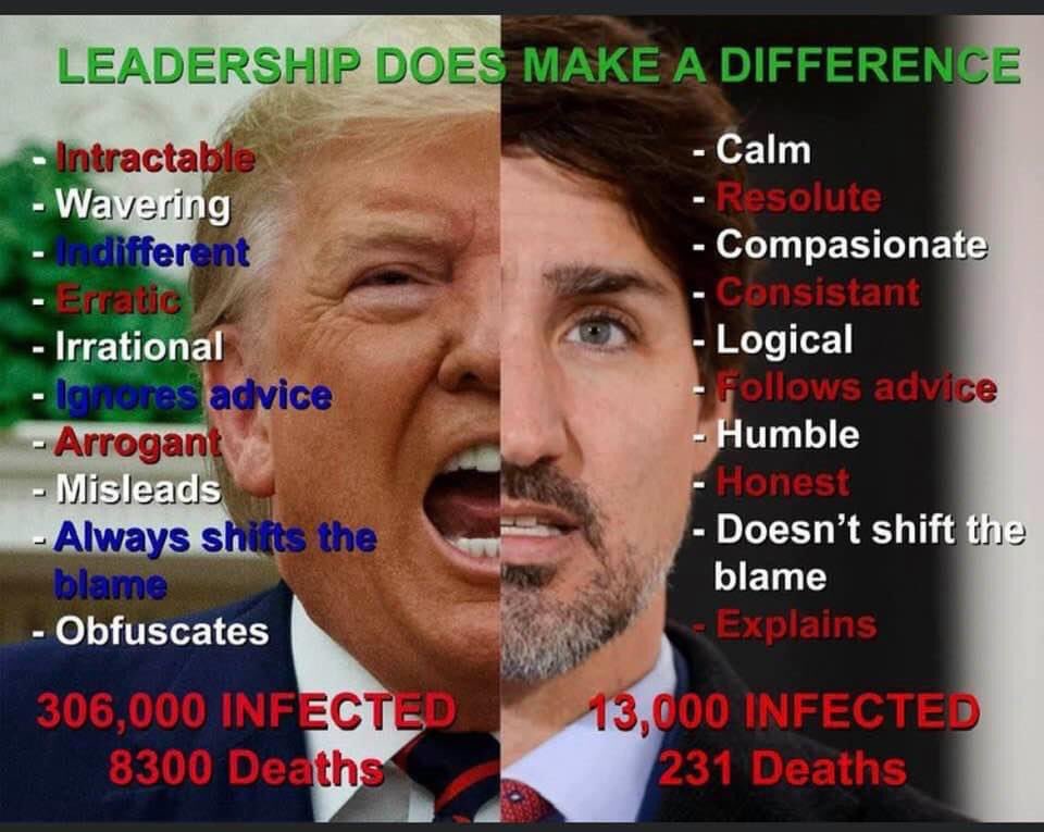 Laura Babcock 🇨🇦 tweet media
