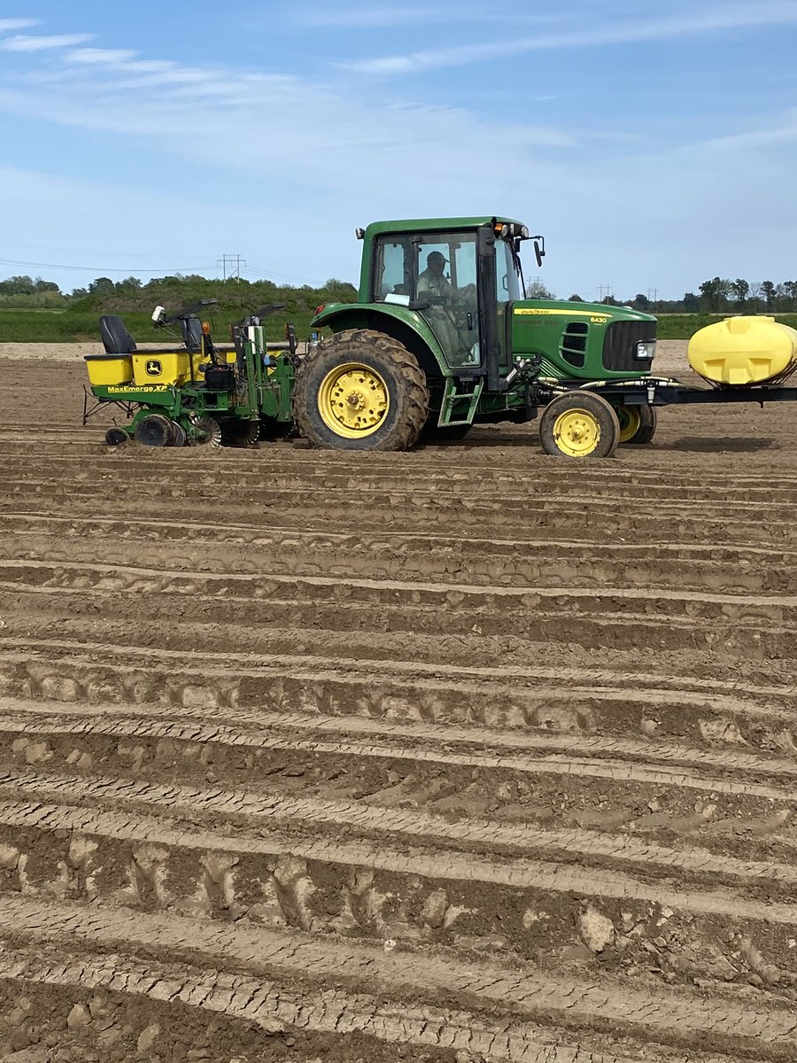 Jeffrey Gore tweet media