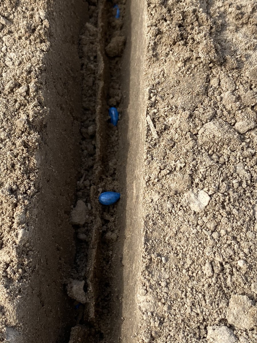 Jeffrey Gore tweet media