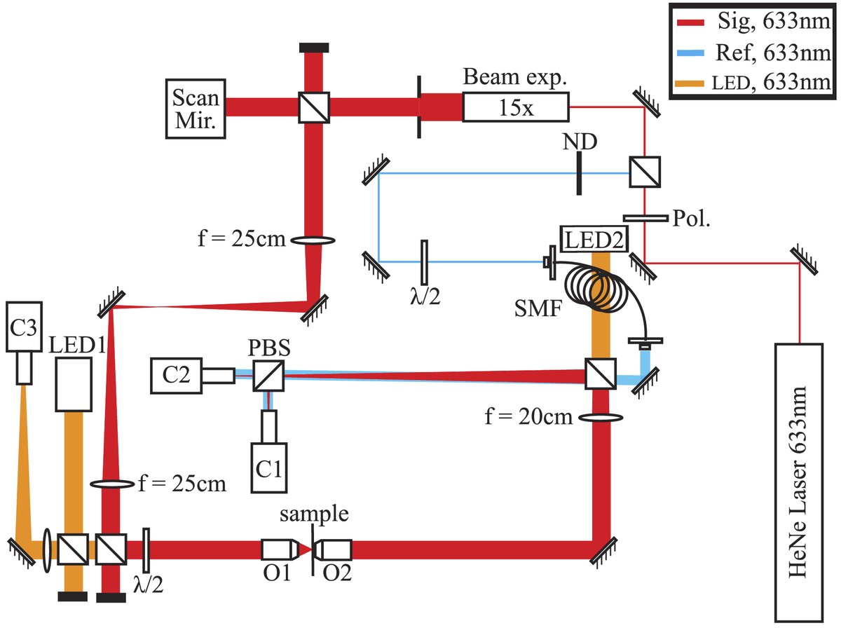 OpticaPubsGroup's tweet photo. An Editor's Pick from #OSA_OSAContinuum: Optical transmission matrix measurement sampled on a dense hexagonal lattice https://t.co/BKqCCswQe8 #SamplingMethod #LightField @UUBeta https://t.co/sd2SzPEBA1