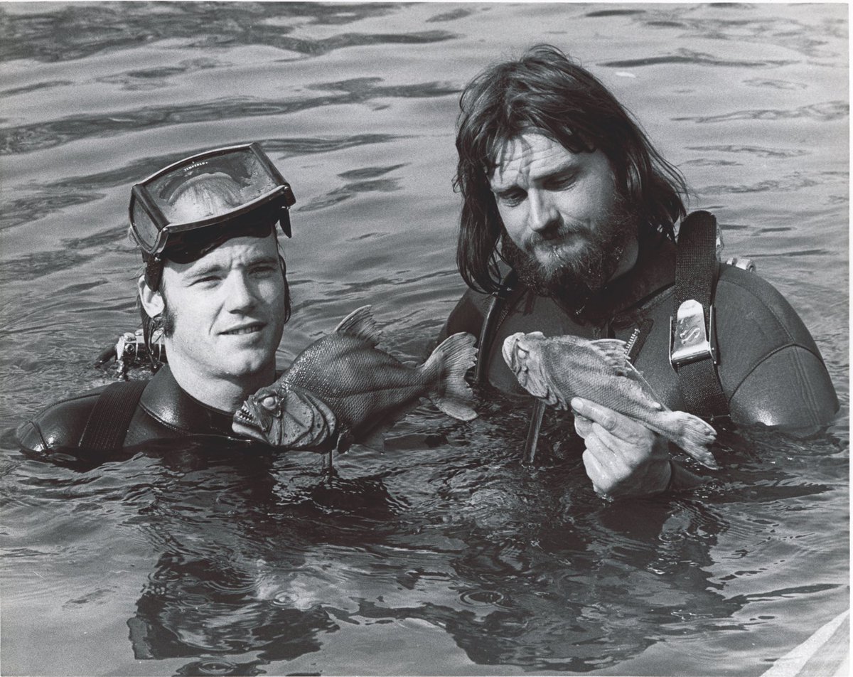 PhilTippett's tweet image. Chapter 14...
We shot #pirhana in San Marcos, Texas, which was a right-to-work state... instagram.com/p/B-xjKgAjBmx/…

@joe_dante #onsetstories #filmmaking