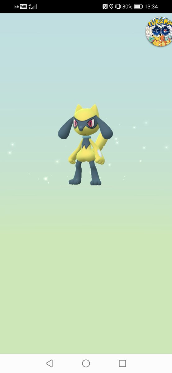 Simondo27's tweet photo. @_ZoeTwoDots First egg hatch this morning. Not really sure anything can better it now. https://t.co/82gPPZPBM7