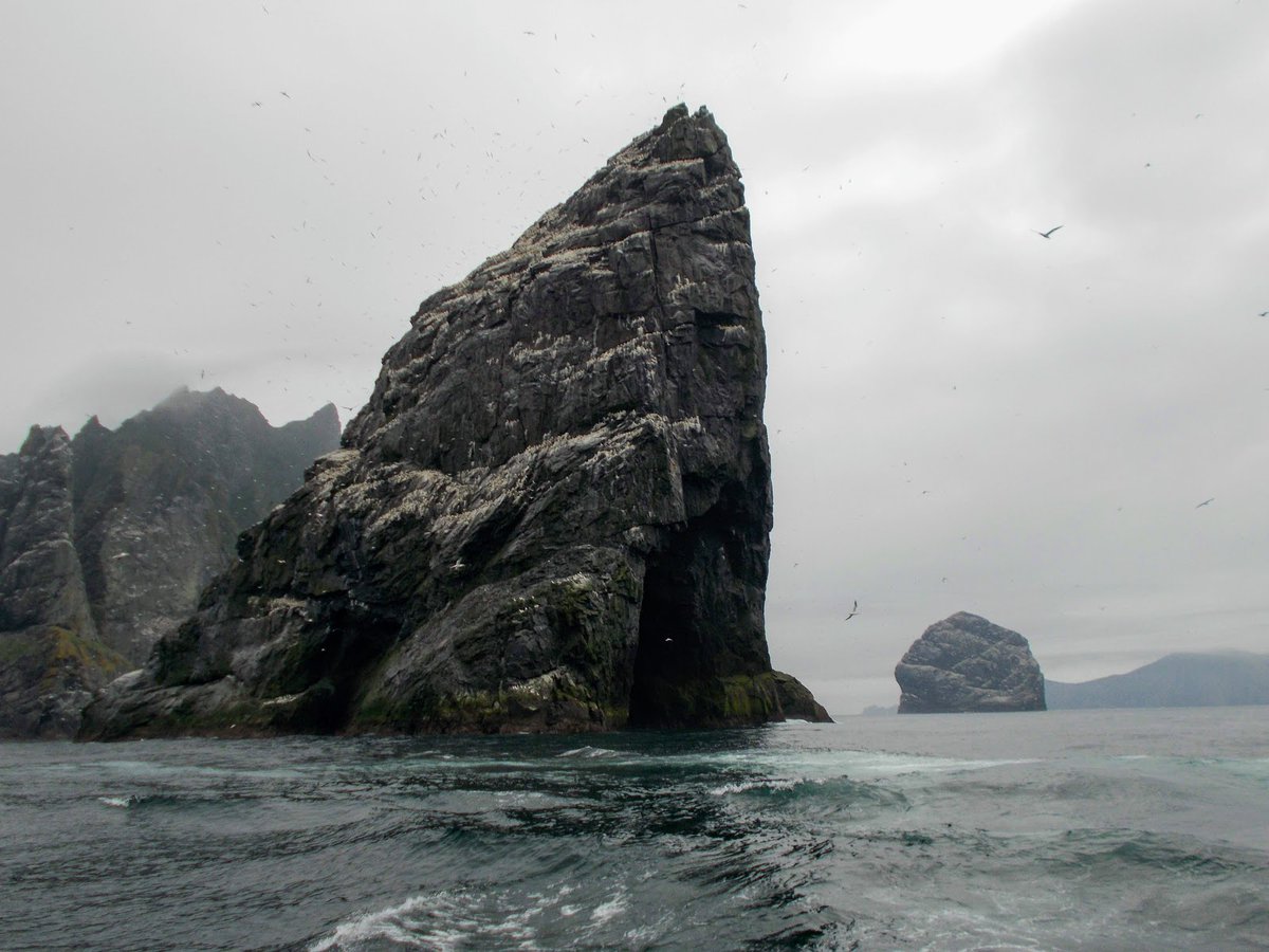 The two main sea stacs they fowled (hunted birds) on were Stac-an-Armin (196 m) and Stac Lee (165 m). The two tallest sea stacs in Britain and home to the world’s largest gannet colony. The white stuff on the rock is bird poop.