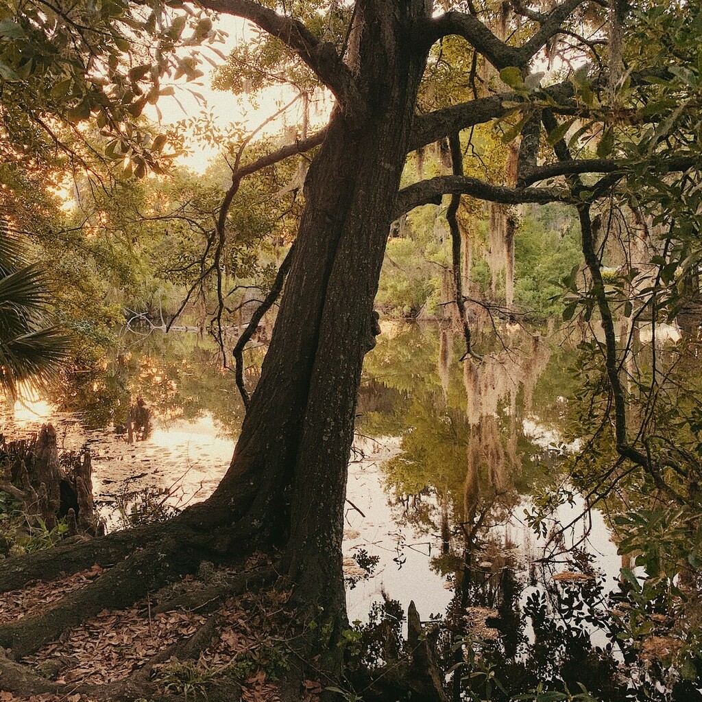 A walk in the park ~ #ILoveYouLouisiana ♥