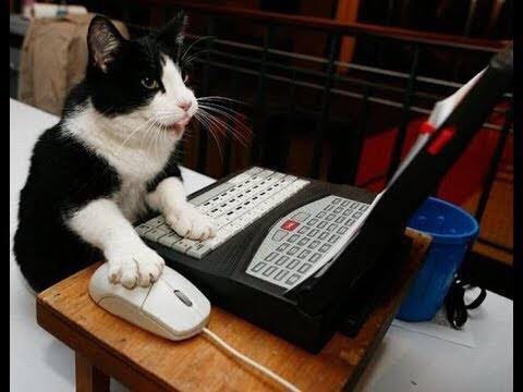 kat_sandov's tweet photo. Yo guardando publicaciones para etiquetar a mi amorcito, pero después porque ahorita estamos peleados. https://t.co/03jyC13c25