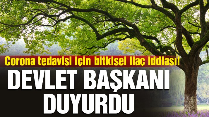 Corona tedavisinde kullanılacak bitkiyi devlet başkanı duyurdu!
sozcu.com.tr/2020/dunya/cor…