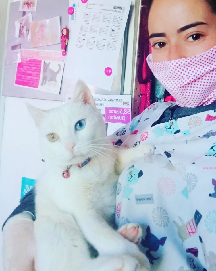 pinorepe26's tweet photo. Elige un trabajo que te guste y ya no tendrás que trabajar!
Mi jefe lotería❤️
#AuxiliarDeVeterinaria https://t.co/TiDMiiEvgl