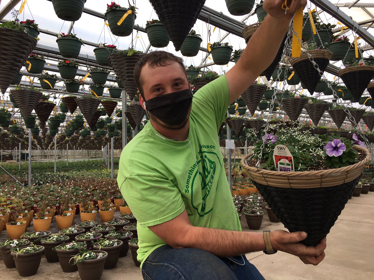 PahlsMarket's tweet photo. Cole with one of the new Cone baskets coming along nicely. #pahls #pahlsmarket #pahlsplanted https://t.co/OVi05LbjVa