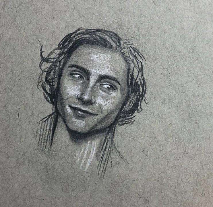 daily timothée chalamet drawings (85-88)