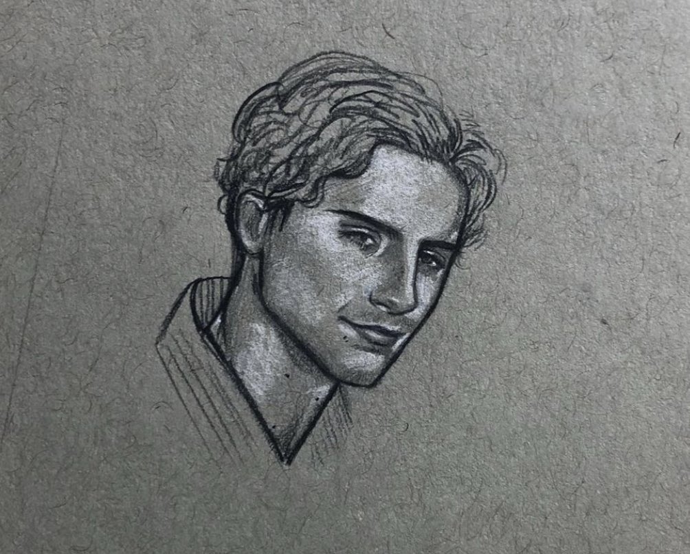 daily timothée chalamet drawings (93-96)