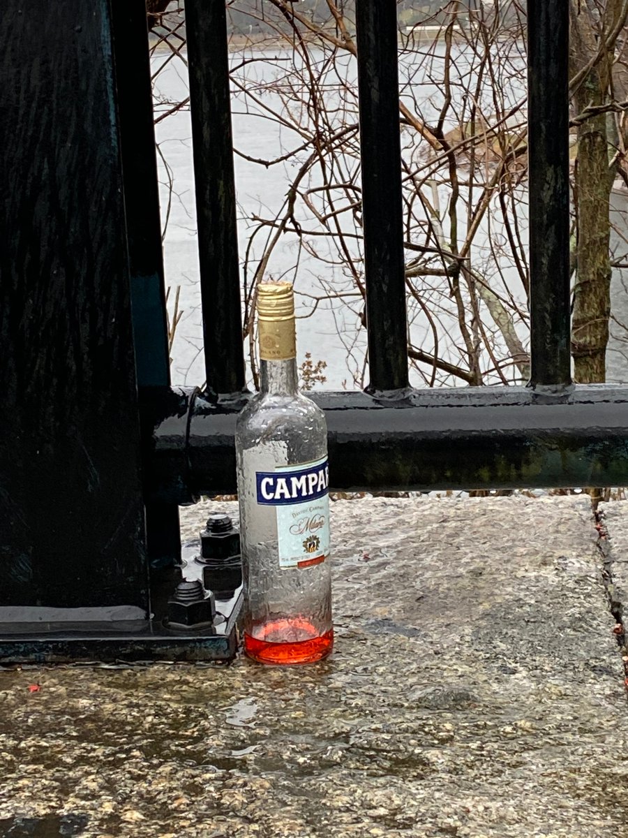EverydayShakes's tweet image. Just spotted this sad bottle overlooking a reservoir. In the rain. During a pandemic. Shall I Campari to a summer's day? #notreallyno