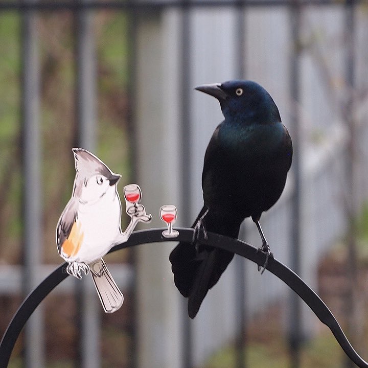 bellandpixel's tweet image. #2DBirbs is my #quarantineArtProject that blends my love of birds and silliness. I made paper cutout illustrations, taped them into place, filled the feeder, and then practiced patience! (and/or yelled stage direction at the birds)