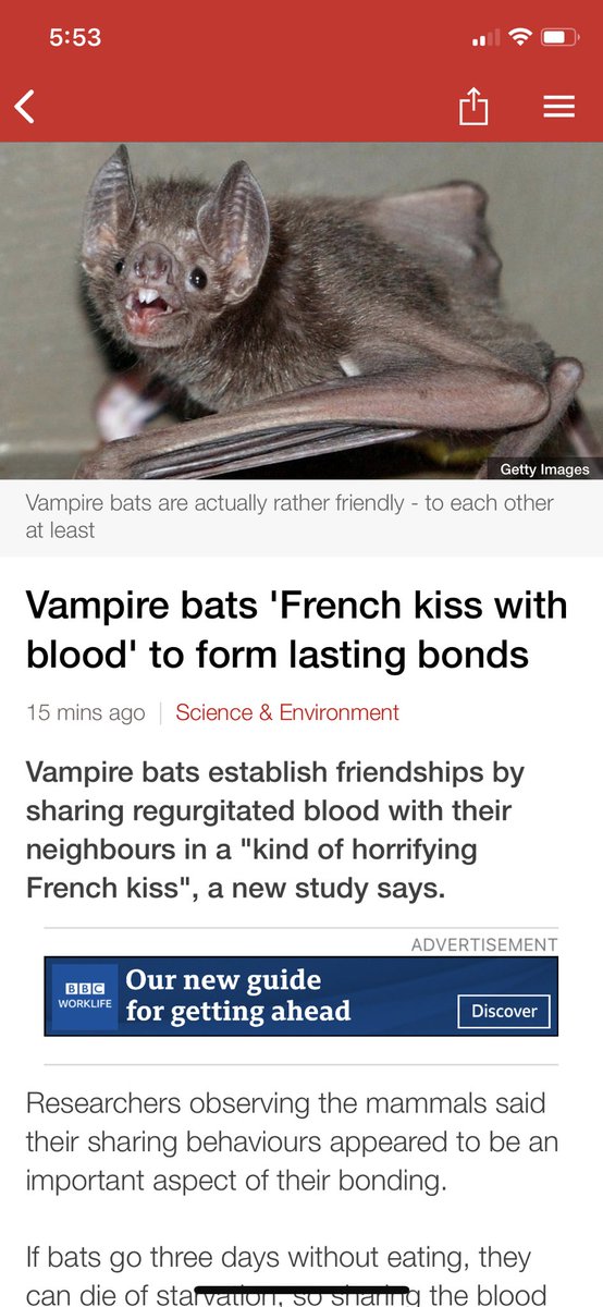 RandWander's tweet image. I’m so glad that there is still good news in this world! #sciencewillsaveus #apocalypse #batsoup #eatthembeforetheyeatyou #endoftheworld #goodnews