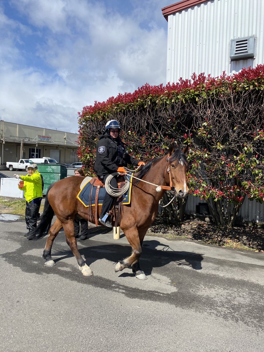 The Fork and Fin tweet media