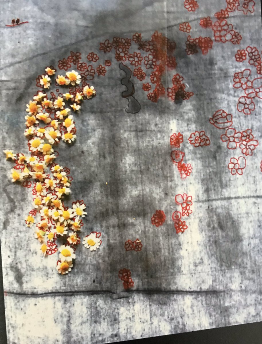 PFelipeAquino's tweet photo. O pesquisador judeu Avinoan Danin, botânico,não católico, conta que quando um judeu morria ensanguentado,não tiravam o sangue, mas cobriam o local com flores. Isto ficou marcado no Santo sudário de Cristo. Veja as fotos do seu livro “Flores e plantas do Santo sudário”.Ed.Cleofas. https://t.co/dKNCFNNNlD