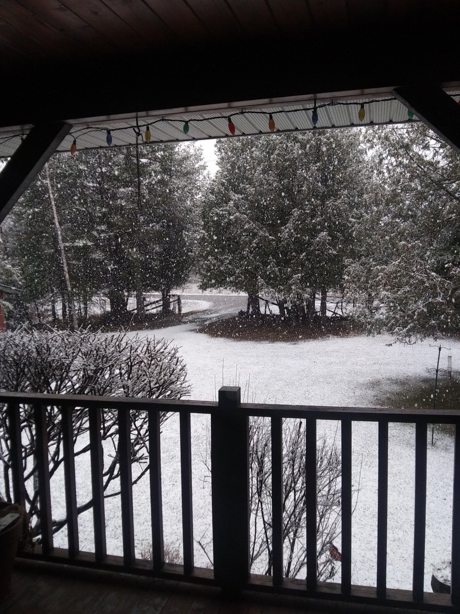 the_smilingdog's tweet photo. This morning, snow was on the menu. I am not sure who put it on the menu but please take it off.
#snowmore #LanarkHighlands https://t.co/xeR5MePWVT