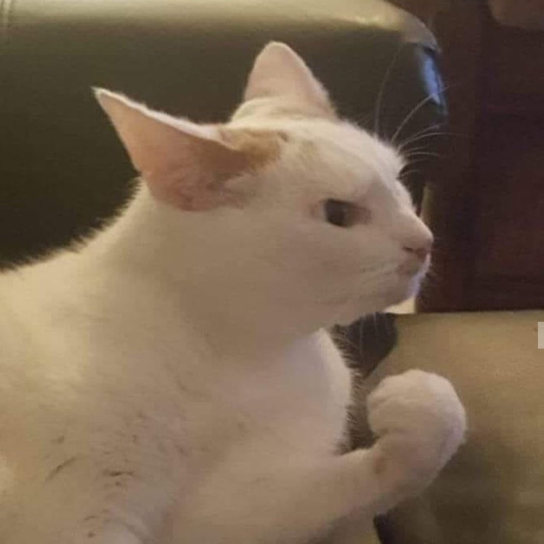 Clara Oswald (@notcontrolfreak) on Twitter photo 