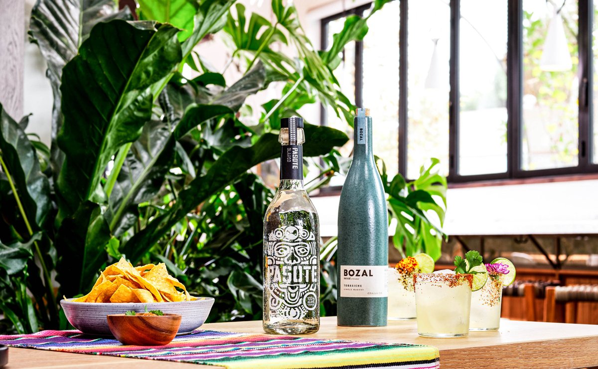 PasoteTequila's tweet photo. Tequila and mezcal, what more could you want?
.
.
.
@bozalmezcal #bozalmezcal #bozal #mezcal #pasotetequila #pasote #tequila #blanco #reposado #anejo #premiumtequila #blancotequila #silvertequila #pasoteblanco #craft #crafttequila #artisan #artisantequila https://t.co/T6VwnVrtJL