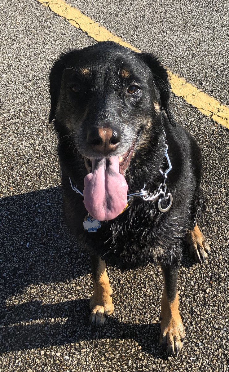 TeamAllen25 tweet media