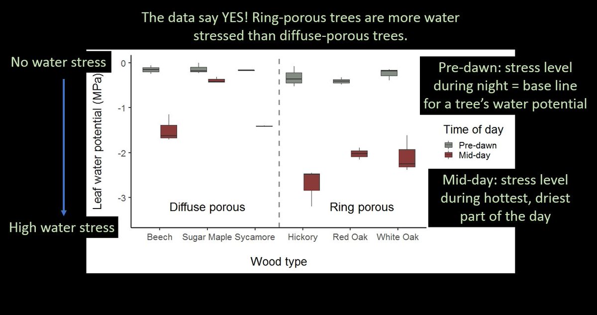 knbryant3's tweet photo. (1/2) #OUVirtualExpo continuation from last post about my #research in #treephysiology! #bobcatsdiscover #OUSigmaXi https://t.co/iGU32rreU4