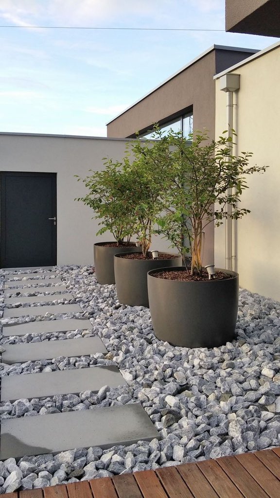 Front yard:Home entryway and yard driveway. More green