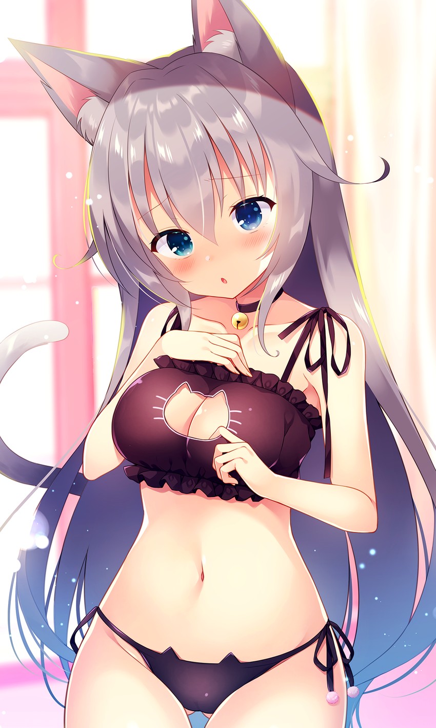 Neko эччи
