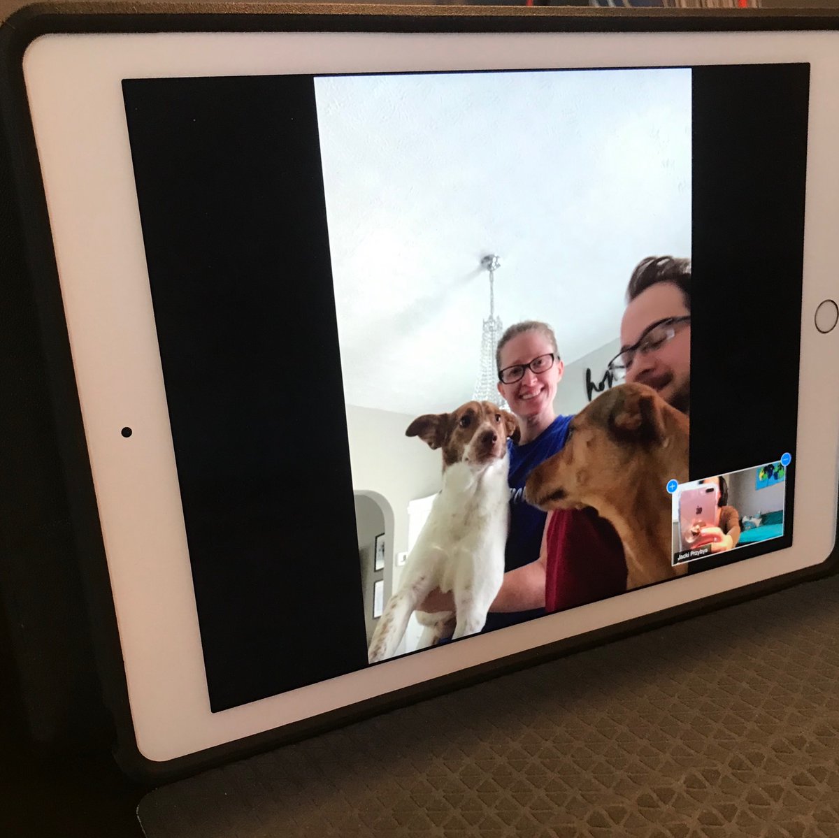 ToledoLASIK's tweet photo. The best thing about virtual LASIK consultations?  Rover and Fluffy get to be there. #LASIK https://t.co/ExsmmkPQeM