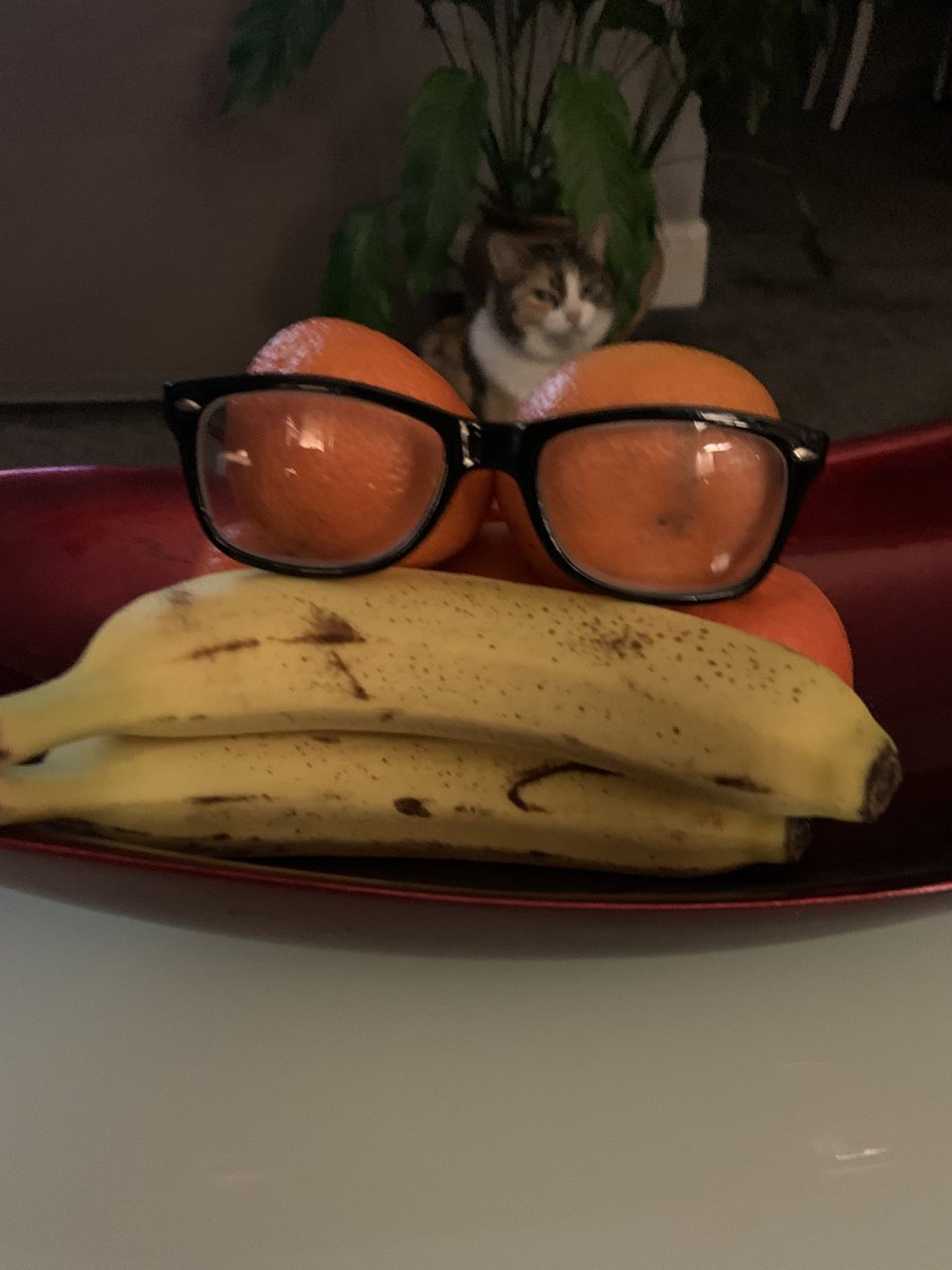 When your cat photobombs your bit of fun! She’s getting her own back because I told her this morning she had to stay in! Cats don’t take any notice of their staff! Interesting days ahead! 😷