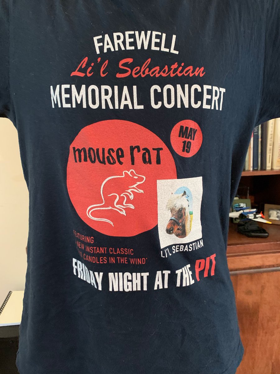 NortonTollbooth's tweet photo. me:  GET UP GET UP GET UP I NEED TO TAKE A PICTURE OF YOUR T-SHIRT RIGHT THE F*CK NOW

my kid:  What?  Why?

me:  Lil Sebastian is trending and this is probably literally-- LIT-RILLY-- the only meaningful discussion I will participate in all week. https://t.co/drq2NkqIfb