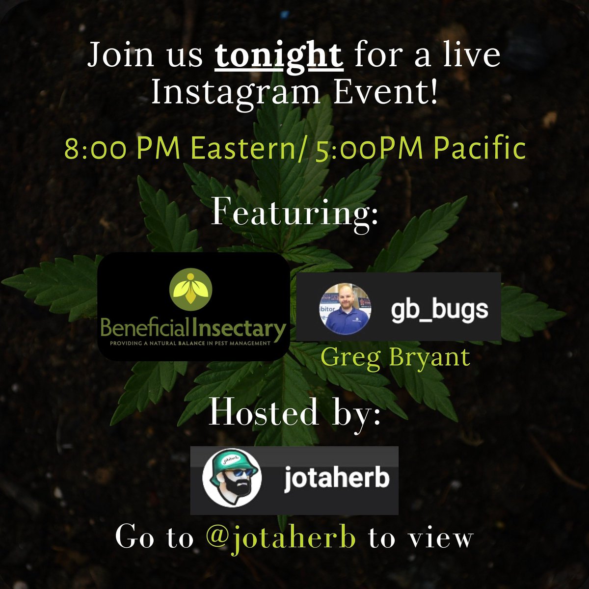 Join our very own Greg Bryant ( @gb_bugs ) TONIGHT as he is being featured on a live Instagram event that is being hosted by @jotaherb 
8pm Eastern/ 5pm Pacific.

Go to @jotaherb IG page to view!

#beneficialinsectary #beneficialinsects #cannabis #integratedpestmanagement