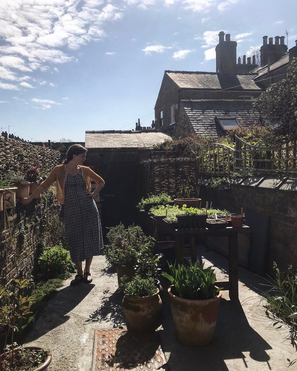 OliviaChaney's tweet photo. Presiding over the planties... #whatelseistheretodo #writearecord #growthings https://t.co/Yvai2MDNUr