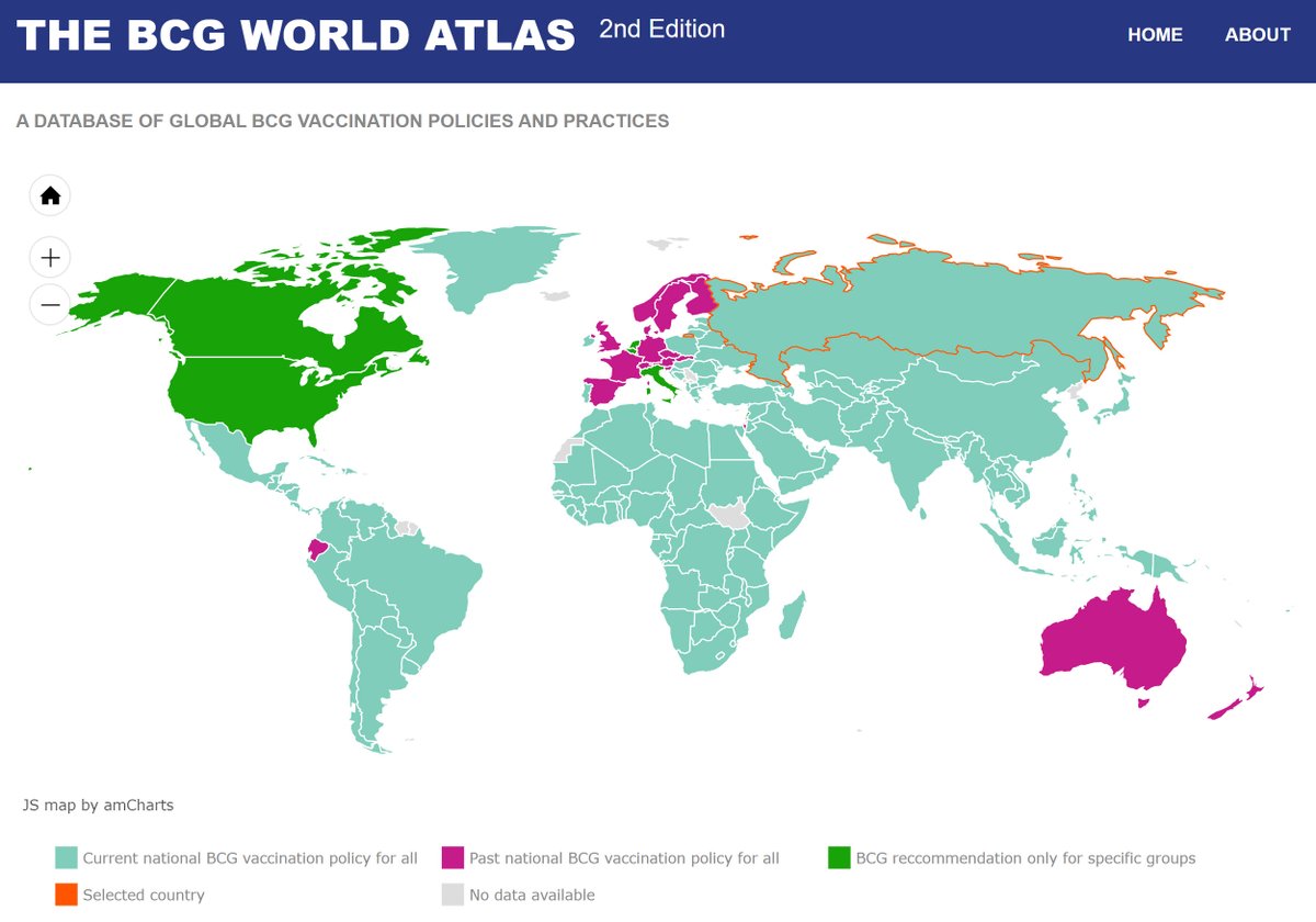 Some of the studies are thoughtful/cautious but most lack epidemiological awareness (to put it mildly). None are peer-reviewed.They use the BCG data we put out in our World BCG Atlas:  http://www.bcgatlas.org/ . I am happy our free database is being used!