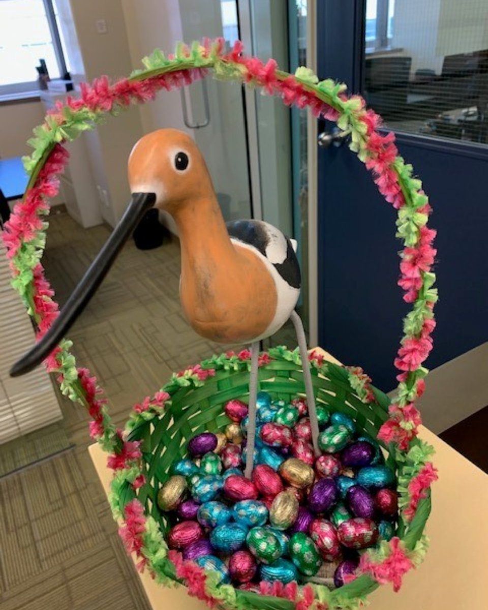 Happy Easter Weekend!