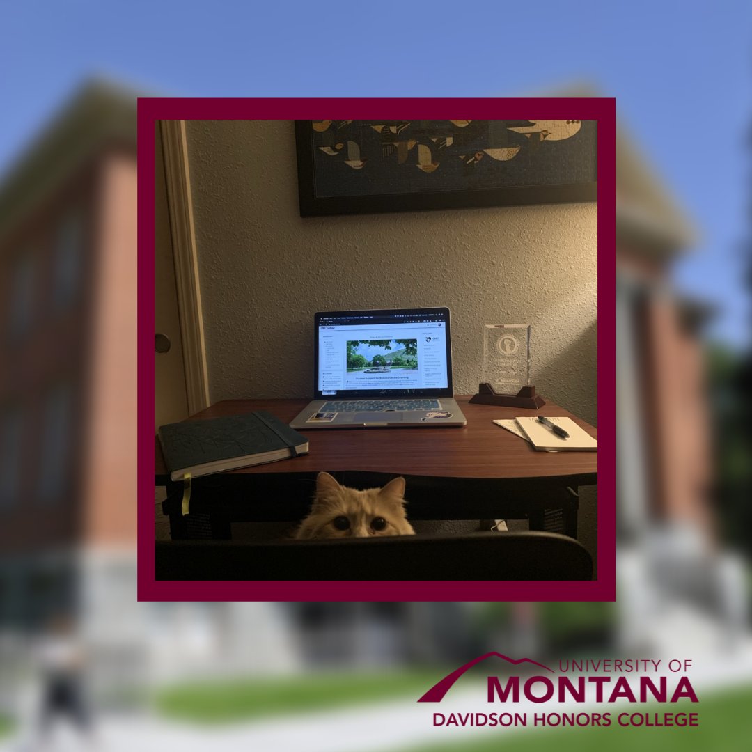 DavidsonHonors's tweet image. This has to be the most organized #RemoteWorkspace that we have seen so far! Thanks to Emma Kiefer for the submission! We love the cat! #DHC